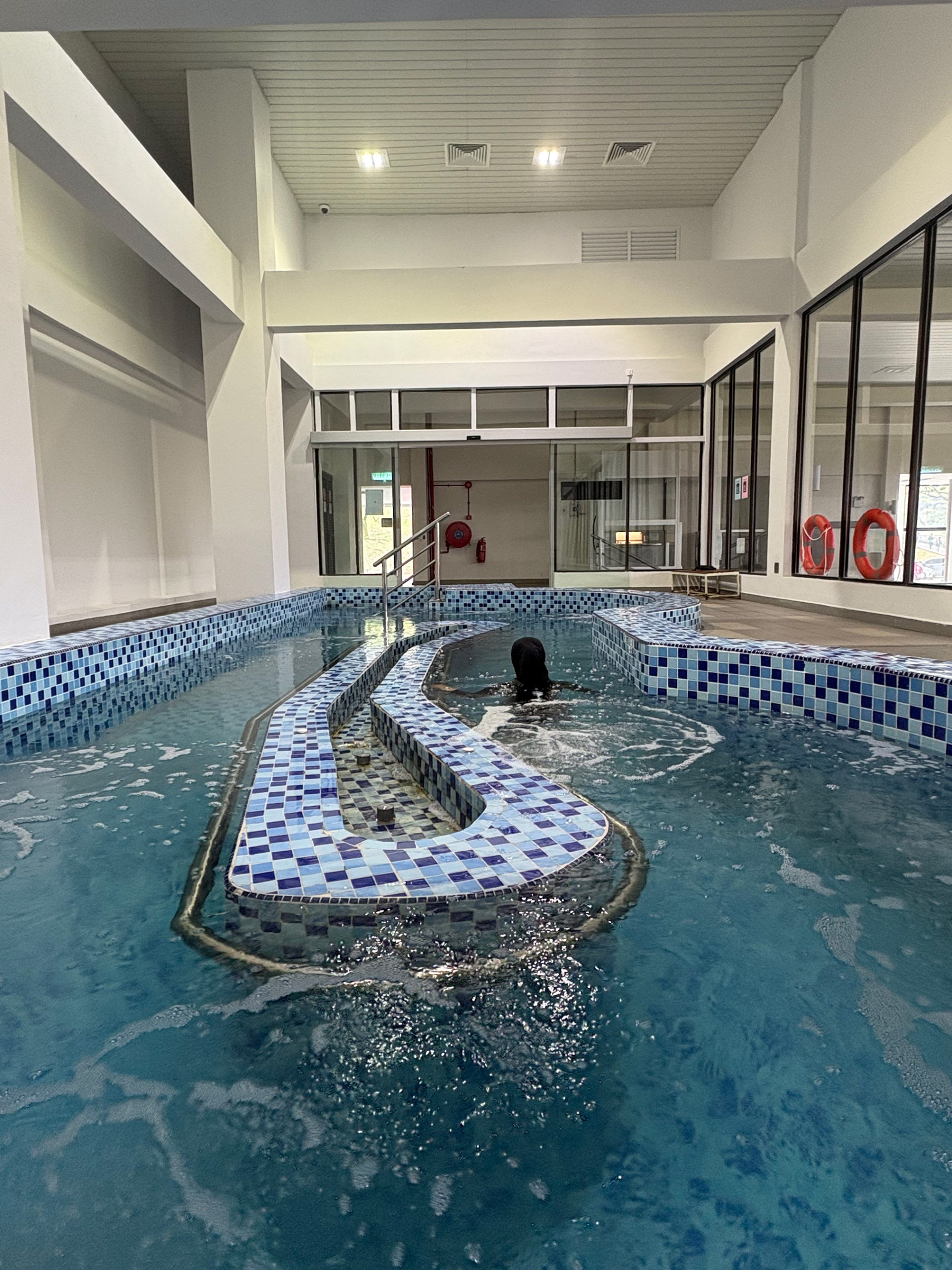 Movement-Pool-21
